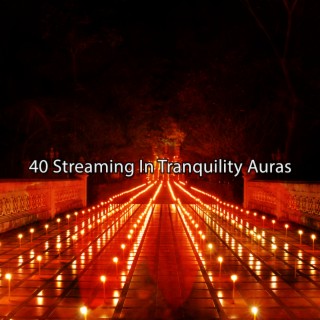 40 Diffusion dans les auras de tranquillité (2022 This Way Is Diagonal Records)