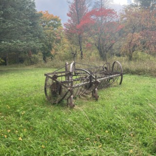 Landis Arboretum Freestyle (07/23)