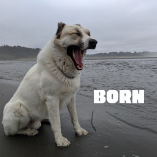 born