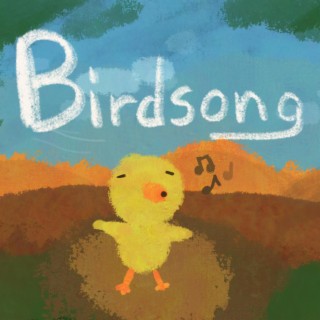 Birdsong