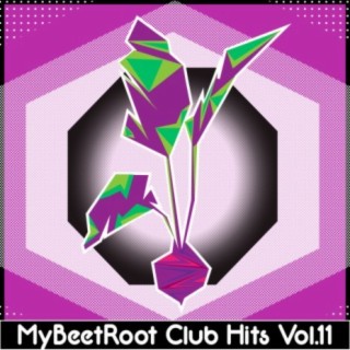 MyBeetRoots Club Hits, Vol. 11