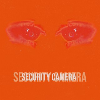 Security Camera