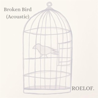 Broken Bird (Acoustic)