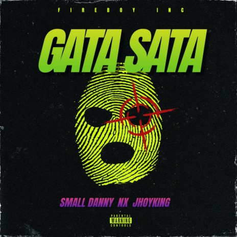 Gata Sata ft. Nx Diseñando Letra & JhoyKing
