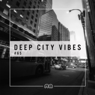 Deep City Vibes, Vol. 65