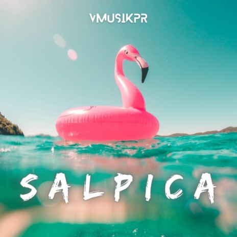 Salpica | Boomplay Music