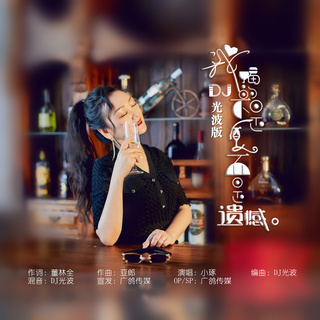 我喝的不是酒而是遗憾 (DJ光波版)