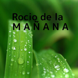 Rocio de la Mañana