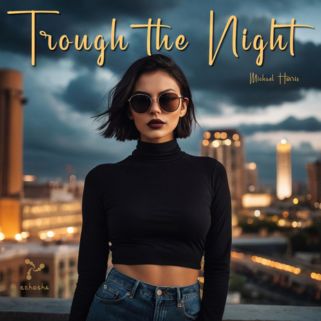 Trough the Night | Boomplay Music