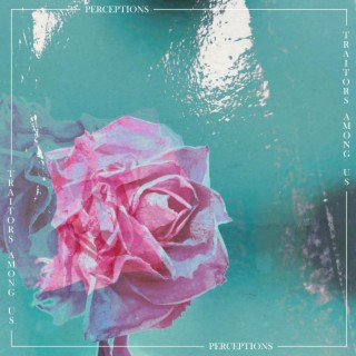 Perceptions (Single)