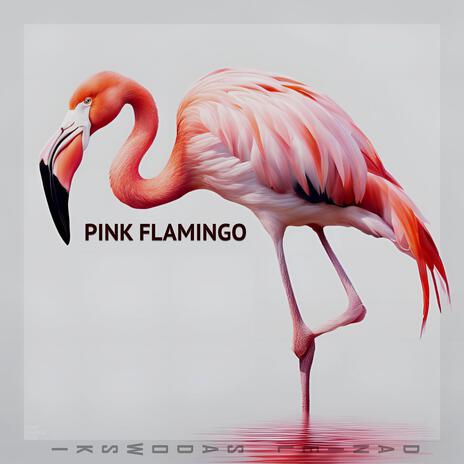 Pink flamingo | Boomplay Music