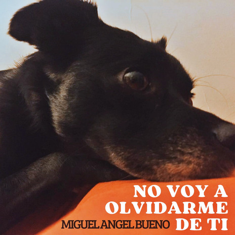 No voy a olvidarme de ti | Boomplay Music