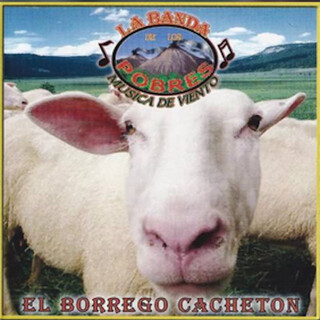 El Borrego Cacheton