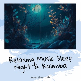 Relaxing Music Sleep Night & Kalimba