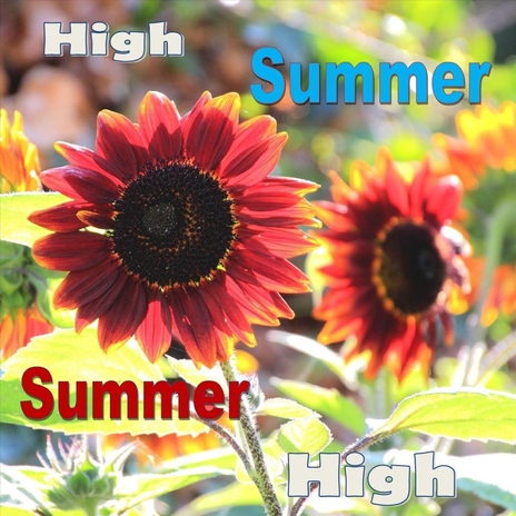 High Summer, Summer High | Boomplay Music