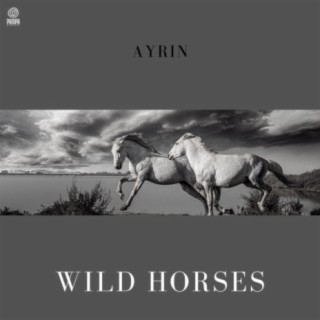 Wild Horses (Piano)