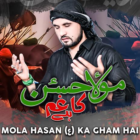 Mola Hasan Ka Gham Hai | Boomplay Music