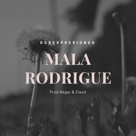 Mala Rodrigue | Boomplay Music