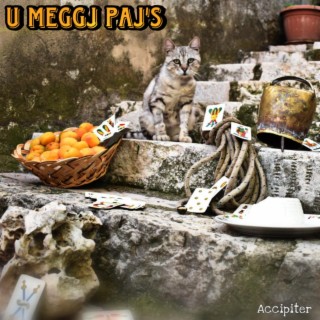 U meggj paj's