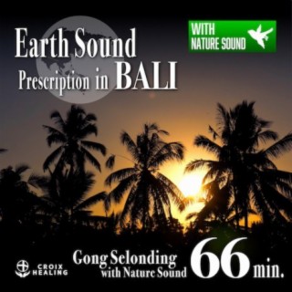 Earth Sound Prescription in BALI 〜Gong Selonding with Nature Sound〜 66min.