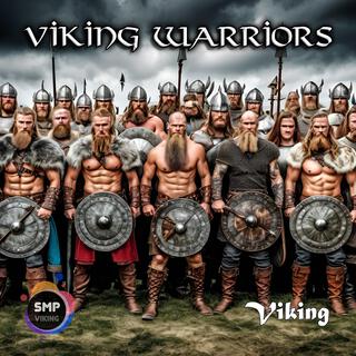 Viking Warriors