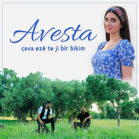 Avesta Çava ezê te ji bîr bikim | Boomplay Music