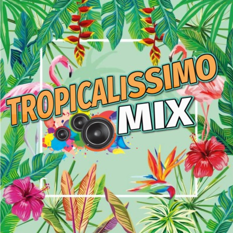 Tropical | Boomplay Music