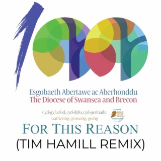 For This Reason (Tim Hamill Remix)
