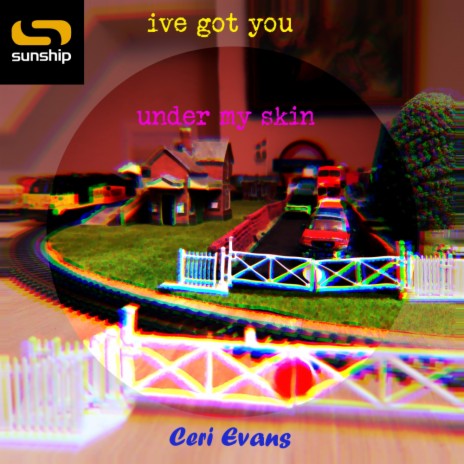 I've Got You Under My Skin ft. Ceri Evans | Boomplay Music
