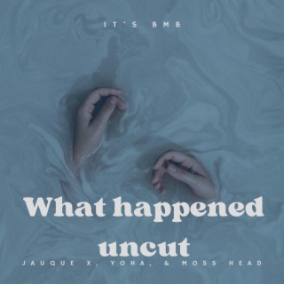 What Happened (Uncut)