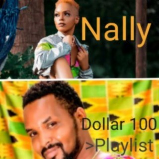 Nally Dollar 100
