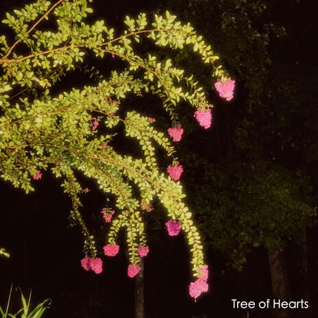 Tree of Hearts | Boomplay Music