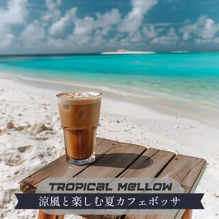 涼風と楽しむ夏カフェボッサ