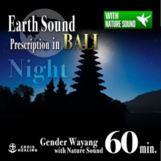 Earth Sound Prescription in BALI 〜Gender Wayang with Nature Sound〜 Night 60min.