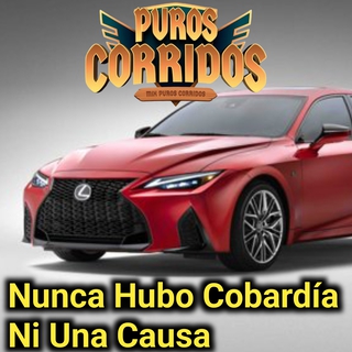 Nunca Hubo Cobardía Ni una Causa