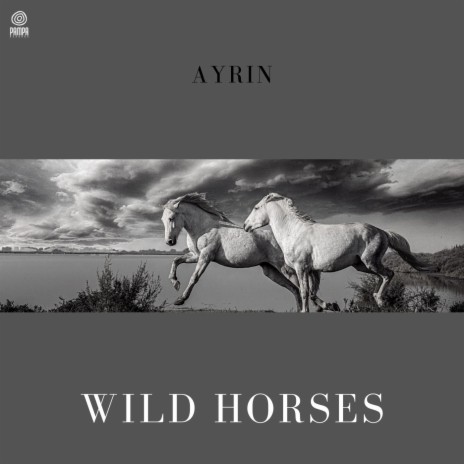 Wild horses (Piano)