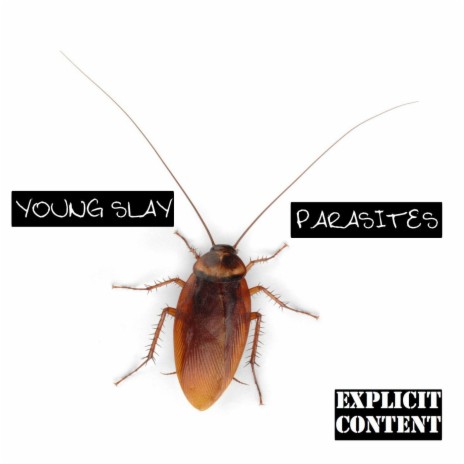 Parasites | Boomplay Music