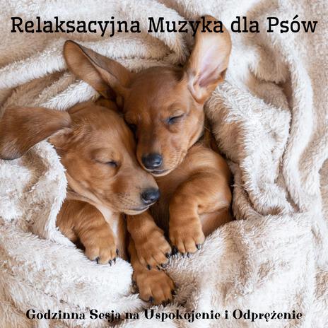 Uspokajające Wibracje ft. Muzykoterapia dla psa, Muzyka dla psów, Głębokie Sny & Music for Dogs | Boomplay Music