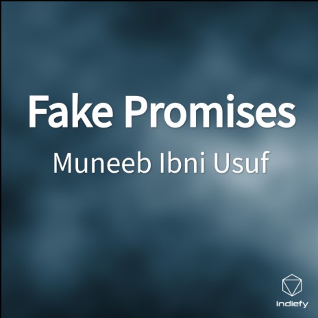 Fake Promises | Boomplay Music