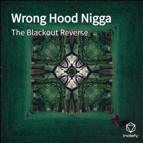 Wrong Hood Nigga | Boomplay Music