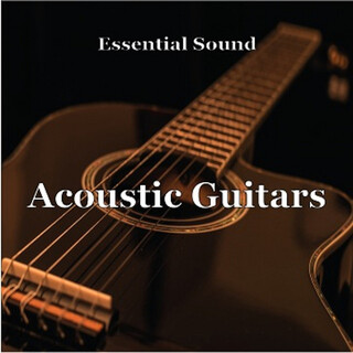 Essential Sound Acoustic Guitars