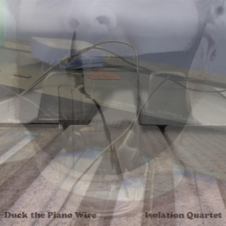 Isolation Quartet