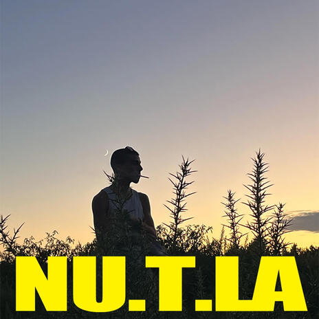 NU T LA | Boomplay Music