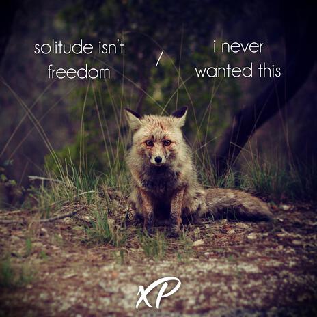 solitude isn't freedom | Boomplay Music