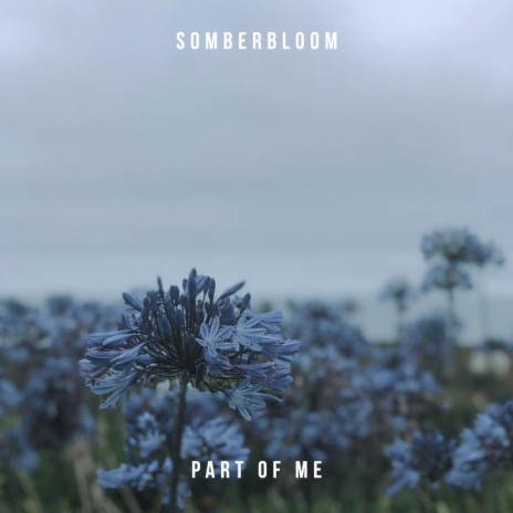 Part of Me (Alternate Version) | Boomplay Music