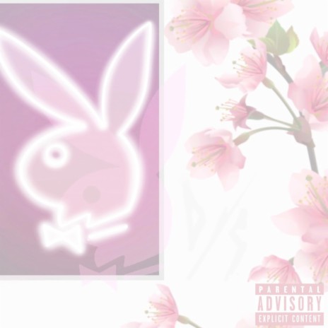Playboy Bunny Boo | Boomplay Music