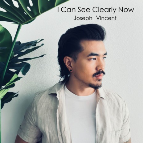 I Can See Clearly Now | Boomplay Music