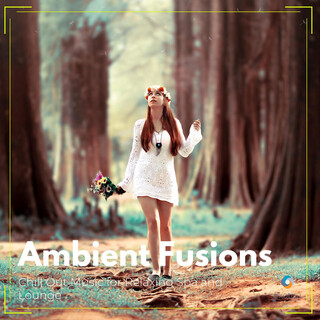 Ambient Fusions: Chill Out Music for Relaxing Spa and Lounge