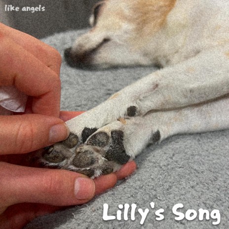 Lilly's Song