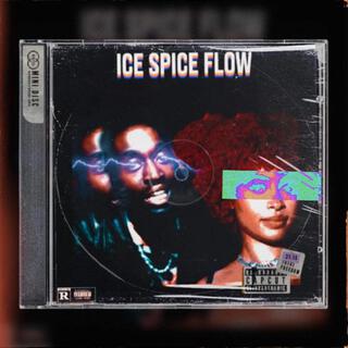 Ice Spice Flow 2